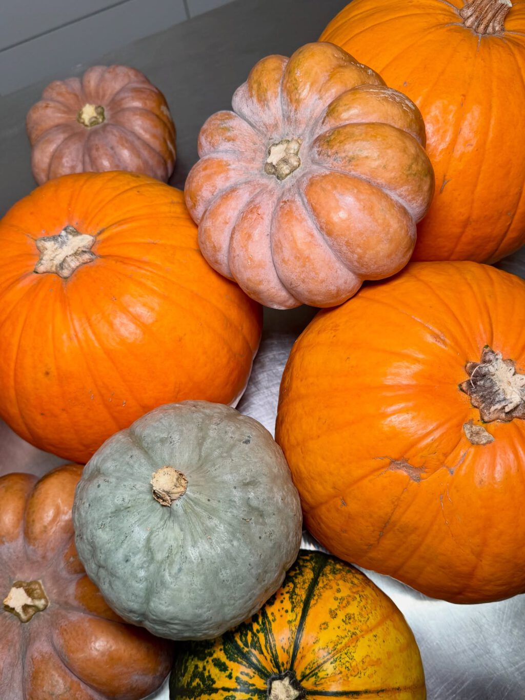 Instagram post from lovebirdspizza. This post is in position 3.